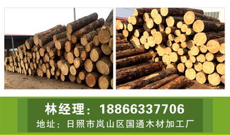 白松木材加工廠 木材加工廠 國通木業 查看