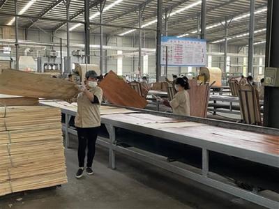 “發展上去,污染下來”!江蘇邳州:“一企一策”VOCs治理助推生態綠色發展